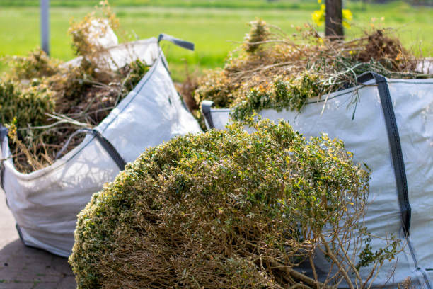 Best Hoarding Cleanup  in Devens, MA